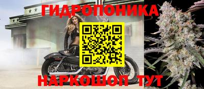 дмт Будённовск