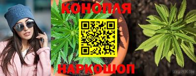 дмт Будённовск